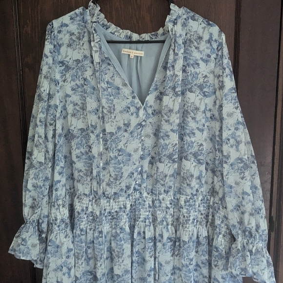 Standards & Practices Blue Floral Long Sleeve Cottagecore Maxi Dress Size 24 - Picture 2 of 11